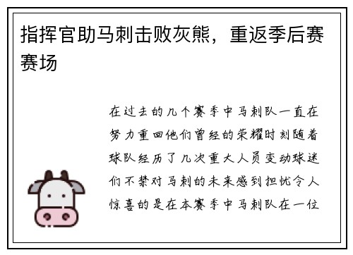 指挥官助马刺击败灰熊，重返季后赛赛场